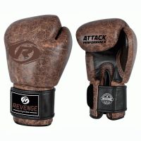 Боксерские перчатки Revenge EV-10-1033-10унц  