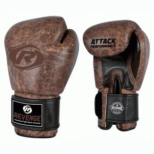 Боксерские перчатки Revenge EV-10-1033-14унц  ― PanGospodar
