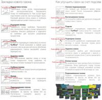 Газонная трава DLF Trifolium TURBO (ТУРБО) 20 кг 