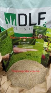 Полевица побегоносная DLF Trifolium 1 кг ― PanGospodar