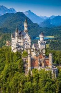 Инфракрасный пленочный обогреватель Трио Замок ― PanGospodar