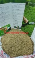 Газонная трава DLF Trifolium SPORTMASTER (СПОРТМАСТЕР) 1 кг