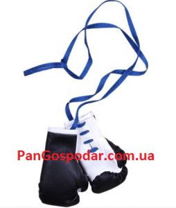 Сувенирные боксерские перчатки 1031 ― PanGospodar
