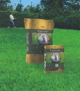 Газонная трава DLF Trifolium 2016 Газон как на стадионах Франции 1 кг ― PanGospodar