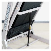 Беговая дорожка FitLogic Miracle R280