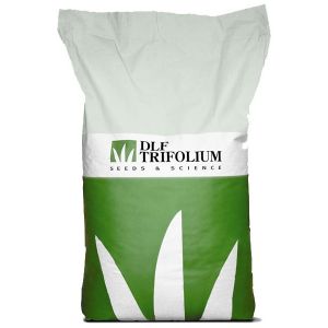 Газонная трава  DLF Trifolium ROBUSTICA (РОБУСТИКА  Плюс) 1 кг ― PanGospodar