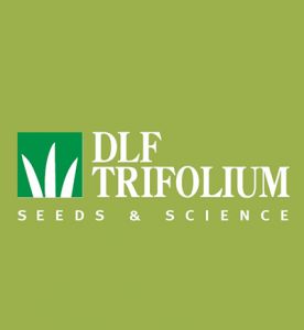 Газонная трава DLF Trifolium FAIRPLAY (ФЕИРПЛЕЙ) 7,5 кг. ― PanGospodar