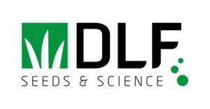 Газонная трава  DLF Trifolium ROBUSTICA (РОБУСТИКА) 1 кг ― PanGospodar