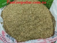 Газонная трава EuroGrass Liliput (Лилипут) 1 кг (на вес из мешка)