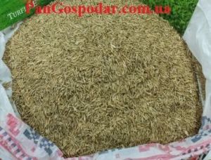 Газонная трава EuroGrass Road & Landscaping 1 кг (на вес из мешка) ― PanGospodar