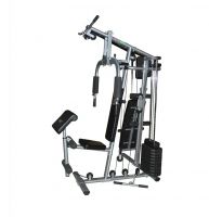 Мультистанция (+брусья, скамья, приставка скотта) HouseFit DH 81715