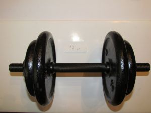 Гантель тренировочная разборная BodyMax 15 кг ― PanGospodar